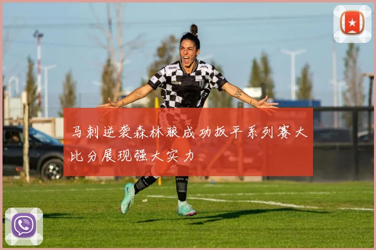 马刺逆袭森林狼成功扳平系列赛大比分展现强大实力
