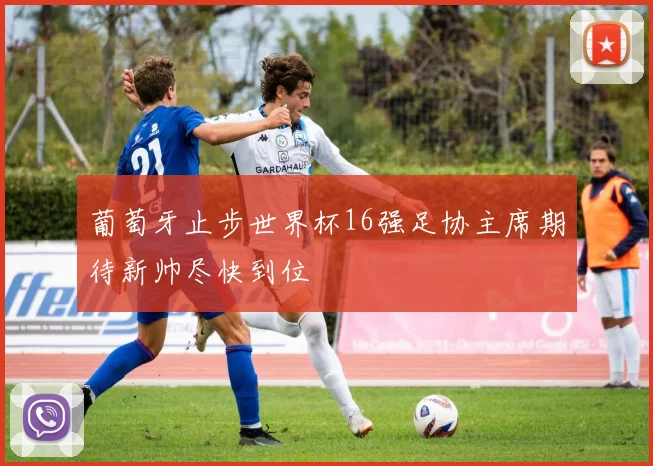 葡萄牙止步世界杯16强足协主席期待新帅尽快到位