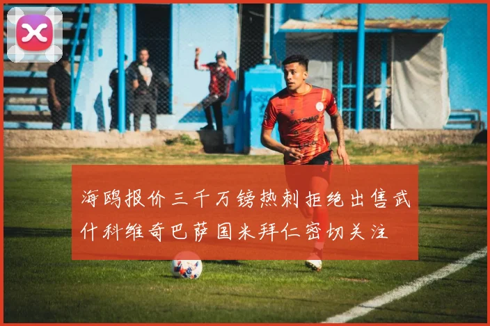 海鸥报价三千万镑热刺拒绝出售武什科维奇巴萨国米拜仁密切关注
